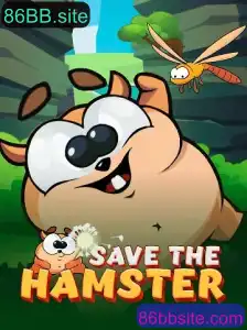 Explorando o Universo de SavetheHamster: Um Guia Completo para Iniciantes